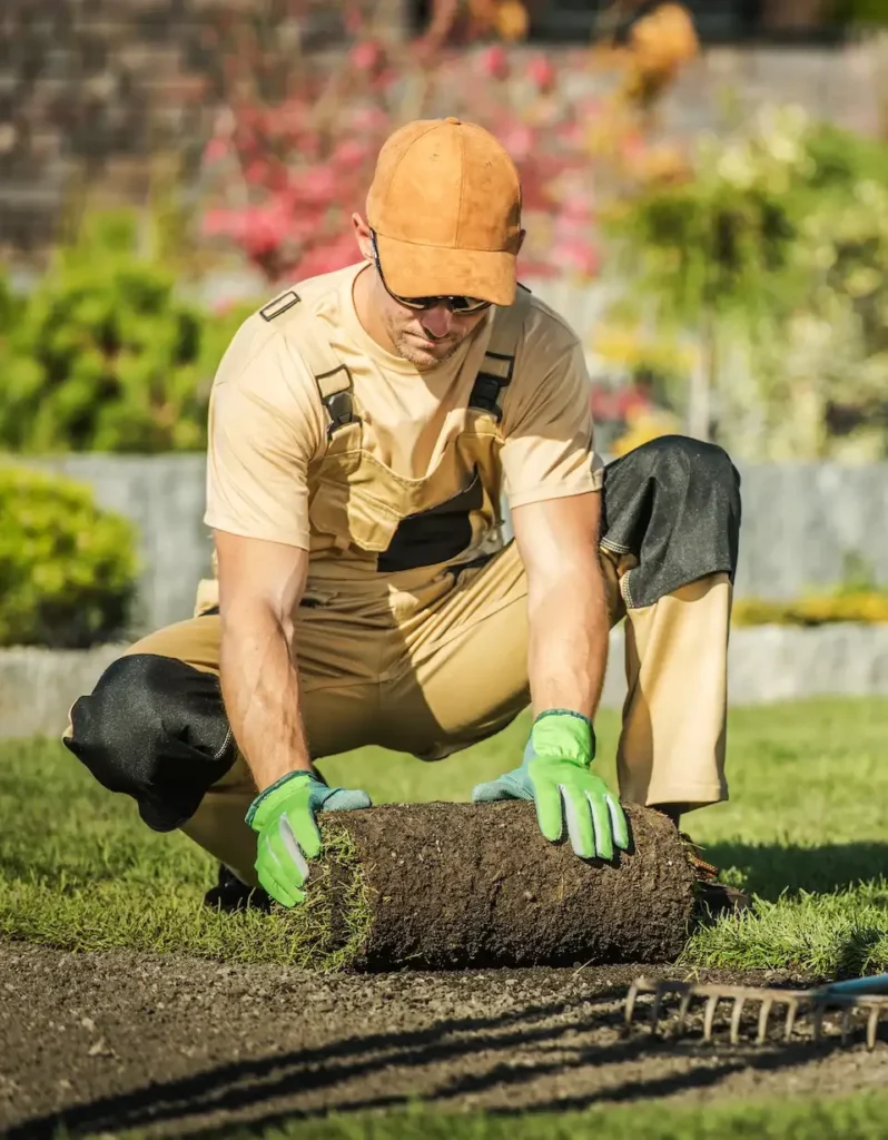 Landschaftsgärtner verlegt Rollrasen im Garten